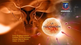 LA
FECUNDACIÓN
Curso: Geneticay conducta
Profesora: Xiomara Rodríguez
Alumna: Duberlys Morales
Cédula . 12.201.635
 