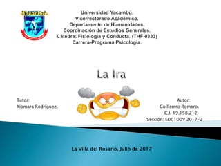 Tutor: Autor:
Xiomara Rodríguez. Guillermo Romero.
C.I. 19.158.212
Sección: ED01D0V 2017-2
La Villa del Rosario, Julio de 2017
 