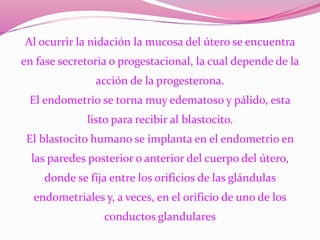 Al ocurrir la nidación la mucosa del útero se encuentra
en fase secretoria o progestacional, la cual depende de la
acción de la progesterona.
El endometrio se torna muy edematoso y pálido, esta
listo para recibir al blastocito.
El blastocito humano se implanta en el endometrio en
las paredes posterior o anterior del cuerpo del útero,
donde se fija entre los orificios de las glándulas
endometriales y, a veces, en el orificio de uno de los
conductos glandulares
 