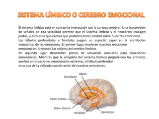 El sistema límbico está en constante interacción con la corteza cerebral. Una transmisión
de señales de alta velocidad permite que el sistema límbico y el neocórtex trabajen
juntos, y esto es lo que explica que podamos tener control sobre nuestras emociones.
Los lóbulos prefrontales y frontales juegan un especial papel en la asimilación
neocortical de las emociones. En primer lugar, moderan nuestras reacciones
emocionales, frenando las señales del cerebro límbico.
En segundo lugar, desarrollan planes de actuación concretos para situaciones
emocionales. Mientras que la amígdala del sistema límbico proporciona los primeros
auxilios en situaciones emocionales extremas, el lóbulo prefrontal
se ocupa de la delicada coordinación de nuestras emociones.
 