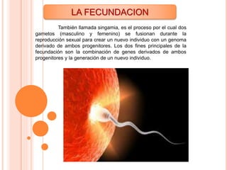 LA FECUNDACION
También llamada singamia, es el proceso por el cual dos
gametos (masculino y femenino) se fusionan durante la
reproducción sexual para crear un nuevo individuo con un genoma
derivado de ambos progenitores. Los dos fines principales de la
fecundación son la combinación de genes derivados de ambos
progenitores y la generación de un nuevo individuo.
 