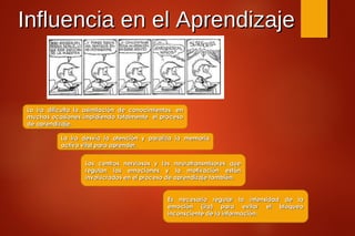 La ira dificulta la asimilación de conocimientos, enLa ira dificulta la asimilación de conocimientos, en
muchas ocasiones impidiendo totalmente el procesomuchas ocasiones impidiendo totalmente el proceso
de aprendizaje.de aprendizaje.
La ira desvía la atención y paraliza la memoriaLa ira desvía la atención y paraliza la memoria
activa vital para aprender.activa vital para aprender.
Los centros nerviosos y los neurotransmisores queLos centros nerviosos y los neurotransmisores que
regulan las emociones y la motivación estánregulan las emociones y la motivación están
involucrados en el proceso de aprendizaje también.involucrados en el proceso de aprendizaje también.
Es necesario regular la intensidad de laEs necesario regular la intensidad de la
emoción (ira) para evitar el bloqueoemoción (ira) para evitar el bloqueo
inconsciente de la información.inconsciente de la información.
Influencia en el AprendizajeInfluencia en el Aprendizaje
 