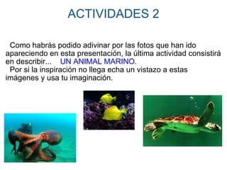 ACTIVIDADES 2    Como habrás podido adivinar por las fotos que han ido apareciendo en esta presentación, la última actividad consistirá en describir...     UN ANIMAL MARINO.    Por si la inspiración no llega echa un vistazo a estas imágenes y usa tu imaginación.                                                                                                                         