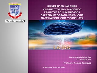 UNIVERSIDAD YACAMBU
VICERRECTORADO ACADEMICO
FACULTAD DE HUMANIDADES
CARRERA/PROGRAMA PSICOLOGÍA
MATERIA/FISIOLOGÍA Y CONDUCTA
Alumno:Marialis Barrios
C.I:V-16.239.767
Profesora: Xiomara Rodríguez
Cabudare Julio del 2017
 