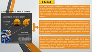 Localización de la ira en el cerebro
LA IRA
Para Darwin, el cerebro trabaja en red y cuando se experimenta una emoción no
se activa una sola área, sino varias, pero generalmente hay una que tiene mayor
protagonismo. En el caso de la ira, esa zona crítica es la región del estriado
ventral (se refiere a núcleos accumbens, porciones profundas del tubérculo
olfatorio parecidas al estriado y partes ventrales del núcleo caudado y el putamen.
Como es obvio por sus conexiones, el estriado ventral se relaciona con el sistema
límbico).
Para las neurociencias de este último tiempo, la región del córtex frontal (una zona
de control ejecutivo de la mayoría de los procesos cerebrales más desarrollados a
nivel evolutivo, básicamente diseñado para ser el refugio de la cognición, el
pensamiento de alto nivel y para los procesos de planeación a largo plazo) también
se encarga de regular la agresión y los impulsos violentos cuando las señales
neurocerebrales que van desde el tálamo a la amígdala se desvían hacia él para
generar procesos relacionados con la racionalidad, la lógica, la ética, la moral y la
conciencia humana.
Otra función que compete al lóbulo frontal (y es de mucha importancia) es
inhibición de la conducta ocasional a través de un proceso que la ciencia
denomina "control del impulso". Este proceso impide que nuestras acciones sean
llevadas a cabo, lo mismo que nuestros pensamientos sin pensar en las
consecuencias. Esta es la razón por la cual los adolescentes son demasiado
impulsivos, debido a que el lóbulo frontal madura neurológicamente,
aproximadamente, a los 25 años de edad.
 