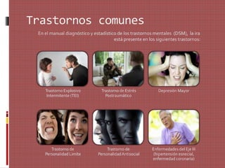 Trastornos comunes
En el manual diagnóstico y estadístico de los trastornos mentales (DSM), la ira
está presente en los siguientes trastornos:
Trastorno Explosivo
Intermitente (TEI)
Trastorno de Estrés
Postraumático
Depresión Mayor
Trastorno de
Personalidad Limíte
Trastorno de
PersonalidadAntisocial
Enfermedades del Eje III
(hipertensión esnecial,
enfermedad coronaria)
 