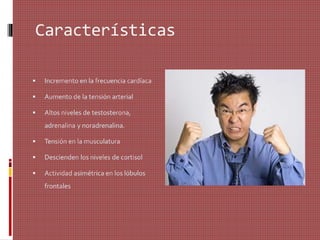 Características
 Incremento en la frecuencia cardíaca
 Aumento de la tensión arterial
 Altos niveles de testosterona,
adrenalina y noradrenalina.
 Tensión en la musculatura
 Descienden los niveles de cortisol
 Actividad asimétrica en los lóbulos
frontales
 