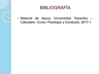 BIBLIOGRAFÍA
 Material de Apoyo Universidad Yacambú –
Cabudare. Curso: Fisiología y Conducta. 2017-1
 