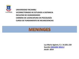 Luz María Agüero, C.I. 14.201.150
Sección ED01D0V 2014-2
JULIO 2014
UNIVERSIDAD YACAMBU
VICERRECTORADO DE ESTUDIOS A DISTANCIA
FACULTAD DE HUMANIDADES
CARRERA DE LICENCIATURA EN PSICOLOGÍA
CURSO DE FUNDAMENTO DE NEUROCIENCIAS
 