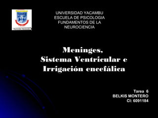 UNIVERSIDAD YACAMBU
ESCUELA DE PSICOLOGIA
FUNDAMENTOS DE LA
NEUROCIENCIA

Meninges,
Sistema Ventricular e
Irrigación encefálica
Tarea 6
BELKIS MONTERO
CI: 6091184

 