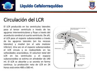 Tarea #6 migdali romero meninges y lcr | PPTX