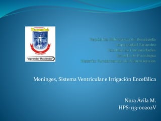 Meninges, Sistema Ventricular e Irrigación Encefálica
Nora Ávila M.
HPS-133-00202V
 