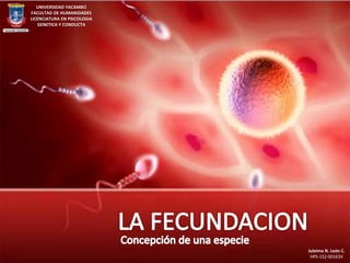 UNIVERSIDAD YACAMBÚ
FACULTAD DE HUMANIDADES
LICENCIATURA EN PSICOLOGIA
GENETICA Y CONDUCTA
Juleima N. León C.
HPS-152-00163V
 