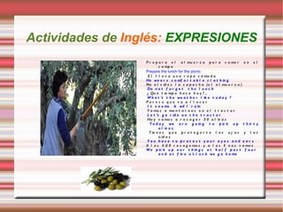 Elaboramos un listado de verbos relacionados con el tema. 