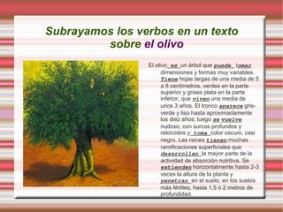 Realización de una webquest sobre el tema de la recolección de la aceituna. 