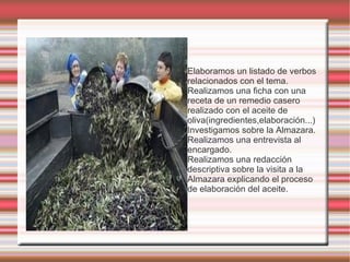 - La actividad predominante en nuestra localidad : El olivar. - El trabajo del olivar. - El proceso de la recogida de la aceituna. - Distintos trabajos. - Utensilios y maquinaria : Evolución - La Almazara : Proceso de elaboración del aceite. - La botifuera. - Proceso de elaboración del aceite. - Recetas elaboradas con aceite de oliva . 