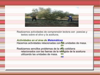 VISITAMOS  LA ALMAZARA 