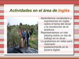 En las frases escritas buscamos y señalamos el verbo. 