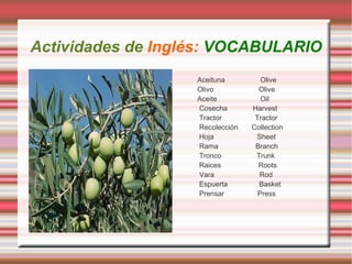 Subrayamos los verbos en un texto sobre  el olivo El olivo  es  un árbol que  puede  t omar  dimensiones y formas muy variables.  Tiene  hojas largas de una media de 5 a 8 centímetros, verdes en la parte superior y grises plata en la parte inferior, que  viven  una media de unos 3 años. El tronco  aparece  gris-verde y liso hasta aproximadamente los diez años; luego  se   vuelve  nudoso, con surcos profundos y retorcidos y  toma  color oscuro, casi negro. Las raíces  tienen  muchas ramificaciones superficiales que  desarrollan  la mayor parte de la actividad de absorción nutritiva. Se  extienden  horizontalmente hasta 2-3 veces la altura de la planta y  penetran  en el suelo, en los suelos más fértiles, hasta 1,5 ó 2 metros de profundidad.  