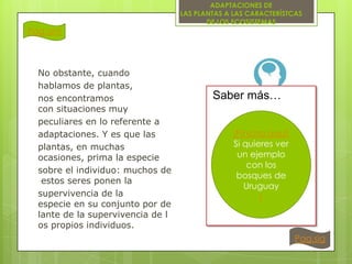Pag.ant

No obstante, cuando
hablamos de plantas,
nos encontramos
con situaciones muy
peculiares en lo referente a
adaptaciones. Y es que las
plantas, en muchas
ocasiones, prima la especie
sobre el individuo: muchos de
estos seres ponen la
supervivencia de la
especie en su conjunto por de
lante de la supervivencia de l
os propios individuos.

ADAPTACIONES DE
LAS PLANTAS A LAS CARACTERÍSTCAS
DE LOS ECOSISTEMAS

Saber más…
¡Pincha aquí!
Si quieres ver
un ejemplo
con los
bosques de
Uruguay
!

Pag.sig

 