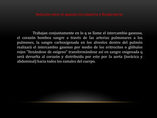 Trabajan conjuntamente en lo q se llame el intercambio gaseoso,
el corazón bombea sangre a través de las arterias pulmonares a los
pulmones, la sangre carboxigenada en los alveolos dentro del pulmón
realizará el intercambio gaseoso por medio de los eritrocitos o glóbulos
rojos "llenándose de oxígeno" transformándose así en sangre oxigenada q
será devuelta al corazón y distribuida por este por la aorta (torácica y
abdominal) hacia todos los ramales del cuerpo.
Relación entre el aparato Circulatorio y Respiratorio
 