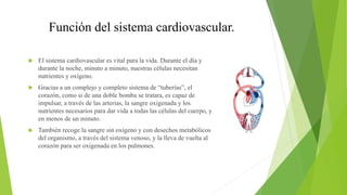 Función del sistema cardiovascular.
 El sistema cardiovascular es vital para la vida. Durante el día y
durante la noche, minuto a minuto, nuestras células necesitan
nutrientes y oxígeno.
 Gracias a un complejo y completo sistema de “tuberías”, el
corazón, como si de una doble bomba se tratara, es capaz de
impulsar, a través de las arterias, la sangre oxigenada y los
nutrientes necesarios para dar vida a todas las células del cuerpo, y
en menos de un minuto.
 También recoge la sangre sin oxígeno y con desechos metabólicos
del organismo, a través del sistema venoso, y la lleva de vuelta al
corazón para ser oxigenada en los pulmones.
 
