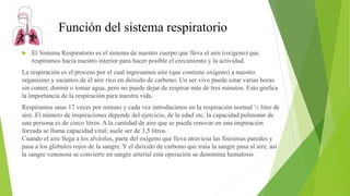 Función del sistema respiratorio
 El Sistema Respiratorio es el sistema de nuestro cuerpo que lleva el aire (oxígeno) que
respiramos hacia nuestro interior para hacer posible el crecimiento y la actividad.
La respiración es el proceso por el cual ingresamos aire (que contiene oxígeno) a nuestro
organismo y sacamos de él aire rico en dióxido de carbono. Un ser vivo puede estar varias horas
sin comer, dormir o tomar agua, pero no puede dejar de respirar más de tres minutos. Esto grafica
la importancia de la respiración para nuestra vida.
Respiramos unas 17 veces por minuto y cada vez introducimos en la respiración normal ½ litro de
aire. El número de inspiraciones depende del ejercicio, de la edad etc. la capacidad pulmonar de
una persona es de cinco litros. A la cantidad de aire que se pueda renovar en una inspiración
forzada se llama capacidad vital; suele ser de 3,5 litros.
Cuando el aire llega a los alvéolos, parte del oxígeno que lleva atraviesa las finísimas paredes y
pasa a los glóbulos rojos de la sangre. Y el dióxido de carbono que traía la sangre pasa al aire, así
la sangre venenosa se convierte en sangre arterial esta operación se denomina hematosis
 