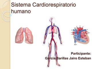 Sistema Cardiorespiratorio
humano
Participante:
García Barillas Jairo Esteban
 