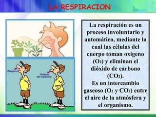 La respiración es un
proceso involuntario y
automático, mediante la
cual las células del
cuerpo toman oxígeno
(O2) y eliminan el
dióxido de carbono
(CO2).
Es un intercambio
gaseoso (O2 y CO2) entre
el aire de la atmósfera y
el organismo.
LA RESPIRACION
 