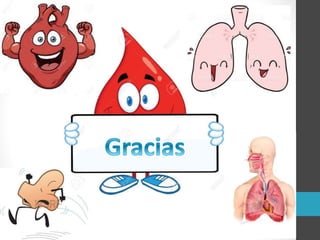Sistema Cardiorrespiratorio