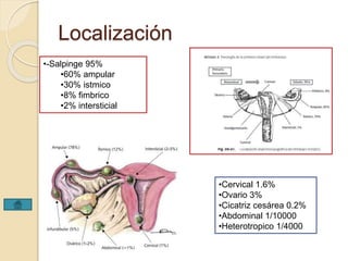 Localización 
•-Salpinge 95% 
•60% ampular 
•30% istmico 
•8% fimbrico 
•2% intersticial 
•Cervical 1.6% 
•Ovario 3% 
•Cicatriz cesárea 0.2% 
•Abdominal 1/10000 
•Heterotropico 1/4000 
 