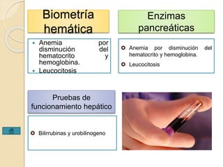 Biometría 
hemática 
 Anemia por 
disminución del 
hematocrito y 
hemoglobina. 
 Leucocitosis 
Enzimas 
pancreáticas 
 Anemia por disminución del 
hematocrito y hemoglobina. 
 Leucocitosis 
Pruebas de 
funcionamiento hepático 
 Bilirrubinas y urobilinogeno 
 