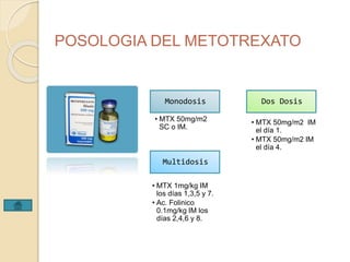 POSOLOGIA DEL METOTREXATO 
Monodosis 
• MTX 50mg/m2 
SC o IM. 
Dos Dosis 
• MTX 50mg/m2 IM 
el día 1. 
• MTX 50mg/m2 IM 
el día 4. 
Multidosis 
• MTX 1mg/kg IM 
los días 1,3,5 y 7. 
• Ac. Folinico 
0.1mg/kg IM los 
días 2,4,6 y 8. 
 