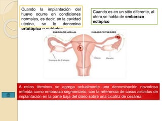 Cuando la implantación del 
huevo ocurre en condiciones 
normales, es decir, en la cavidad 
uterina, se le denomina 
ortotópica o eutópica 
Cuando es en un sitio diferente, al 
utero se habla de embarazo 
ectópico 
A estos términos se agrega actualmente una denominación novedosa 
referida como embarazo segmentario, con la referencia de casos aislados de 
implantación en la parte baja del útero sobre una cicatriz de cesárea 
 