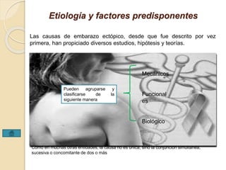 Etiología y factores predisponentes 
Las causas de embarazo ectópico, desde que fue descrito por vez 
primera, han propiciado diversos estudios, hipótesis y teorías. 
Mecánicos 
Funcional 
es 
Biológico 
Pueden agruparse y 
clasificarse de la 
siguiente manera 
Como en muchas otras entidades, la causa no es única, sino la conjunción simultánea, 
sucesiva o concomitante de dos o más 
 