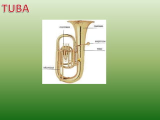 Mo Instrumento Instrumentos Viento-metal | PPTX