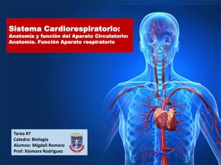 Tarea #7
Catedra: Biologia
Alumno: Migdali Romero
Prof: Xiomara Rodriguez
Sistema Cardiorespiratorio:
Anatomía y función del Aparato Circulatorio:
Anatomía. Función Aparato respiratorio
 