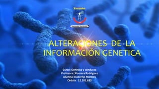 Curso: Genetica y conducta
Profesora: Xiomara Rodríguez
Alumna: Duberlys Morales
Cédula : 12.201.635
ALTERACIONES DE LA
INFORMACIÓN GENETICA
 