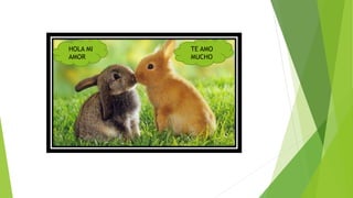 HOLA MI
AMOR
TE AMO
MUCHO
 
