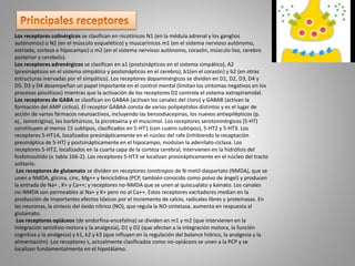 Los receptores colinérgicos se clasifican en nicotínicos N1 (en la médula adrenal y los ganglios
autónomos) o N2 (en el músculo esquelético) y muscarínicos m1 (en el sistema nervioso autónomo,
estriado, corteza e hipocampo) o m2 (en el sistema nervioso autónomo, corazón, músculo liso, cerebro
posterior y cerebelo).
Los receptores adrenérgicos se clasifican en a1 (postsinápticos en el sistema simpático), A2
(presinápticos en el sistema simpático y postsinápticos en el cerebro), b1(en el corazón) y b2 (en otras
estructuras inervadas por el simpático). Los receptores dopaminérgicos se dividen en D1, D2, D3, D4 y
D5. D3 y D4 desempeñan un papel importante en el control mental (limitan los síntomas negativos en los
procesos psicóticos) mientras que la activación de los receptores D2 controla el sistema extrapiramidal.
Los receptores de GABA se clasifican en GABAA (activan los canales del cloro) y GABAB (activan la
formación del AMP cíclico). El receptor GABAA consta de varios polipéptidos distintos y es el lugar de
acción de varios fármacos neuroactivos, incluyendo las benzodiacepinas, los nuevos antiepilépticos (p.
ej., lamotrigina), los barbitúricos, la picrotoxina y el muscimol. Los receptores serotoninérgicos (5-HT)
constituyen al menos 15 subtipos, clasificados en 5-HT1 (con cuatro subtipos), 5-HT2 y 5-HT3. Los
receptores 5-HT1A, localizados presinápticamente en el núcleo del rafe (inhibiendo la recaptación
presináptica de 5-HT) y postsinápticamente en el hipocampo, modulan la adenilato-ciclasa. Los
receptores 5-HT2, localizados en la cuarta capa de la corteza cerebral, intervienen en la hidrólisis del
fosfoinosítido (v. tabla 166-2). Los receptores 5-HT3 se localizan presinápticamente en el núcleo del tracto
solitario.
Los receptores de glutamato se dividen en receptores ionotropos de N-metil-daspartato (NMDA), que se
unen a NMDA, glicina, cinc, Mg++ y fenciclidina (PCP, también conocido como polvo de ángel) y producen
la entrada de Na+ , K+ y Ca++; y receptores no-NMDA que se unen al quiscualato y kainato. Los canales
no-NMDA son permeables al Na+ y K+ pero no al Ca++. Estos receptores excitadores median en la
producción de importantes efectos tóxicos por el incremento de calcio, radicales libres y proteinasas. En
las neuronas, la síntesis del óxido nítrico (NO), que regula la NO-sintetasa, aumenta en respuesta al
glutamato.
Los receptores opiáceos (de endorfina-encefalina) se dividen en m1 y m2 (que intervienen en la
integración sensitivo-motora y la analgesia), D1 y D2 (que afectan a la integración motora, la función
cognitiva y la analgesia) y k1, k2 y k3 (que influyen en la regulación del balance hídrico, la analgesia y la
alimentación). Los receptores s, actualmente clasificados como no-opiáceos se unen a la PCP y se
localizan fundamentalmente en el hipotálamo.
 
