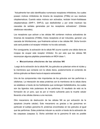 “Actualmente han sido identificados numerosos receptores inhibidores, los cuales
poseen motivos inhibidores de tirosina de receptores (ITIMs) en sus residuos
citoplasmaticos. Cuando estos motivos son activados, reclutan tirosin-fosfatasas
citoplasmaticas (SHP-1, SHP-2), que desfosforilan y por ende inactivan las
cascadas de señales generadas por los receptores activadores”. (Células
citotóxicas naturales).
Los receptores que activan a las células NK contienen motivos activadores de
tirosinas de receptores (ITAMs). Estos receptores al ser inducidos, generan una
cascada de foforilaciones, que finalmente activan a las células NK. Dicha función
solo será posible si el receptor inhibidor no ha sido activado.
Por consiguiente, la activación de la célula NK ocurre cuando una célula diana es
incapaz de ocupar este receptor inhibidor. Es por esto que las células NK
reconozcan algunos péptidos presentados en MCH clase 1.
 Mecanismos efectores de las células NK
Luego de la activación de la célula NK, los gránulos se polarizan entre el núcleo y
la membrana que contacta con la célula diana, posteriormente el contenido de
dichos gránulos se libera hacia el espacio extracelular.
Uno de los componentes más importantes de los gránulos son las perforinas o
citolisinas. La interacción de estas proteínas con la membrana de la célula diana
se establece a través de los fosfolípidos que contengan fosfatidilcolina, los cuales
son los ligandos más poderosos de las perforinas. El resultado de esto es la
formación de un poro, que es por sí mismo suficiente para la muerte celular
llevando a las células dianas a una necrosis.
Otro mecanismo de destrucción de las células NK es por activación de la
apoptosis (muerte celular). Este mecanismo es gracias a las granzimas en
particular el subtipo granzima B, proteínas encontradas en los gránulos al igual
que las perforinas. Estas proteínas inducen su acción a través de la activación de
las caspasas (caspasa 3). Dicha actividad de la granzima B solo es posible
 
