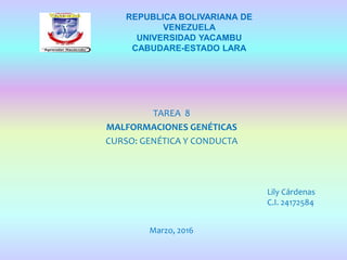 TAREA 8
MALFORMACIONES GENÉTICAS
CURSO: GENÉTICA Y CONDUCTA
REPUBLICA BOLIVARIANA DE
VENEZUELA
UNIVERSIDAD YACAMBU
CABUDARE-ESTADO LARA
Lily Cárdenas
C.I. 24172584
Marzo, 2016
 