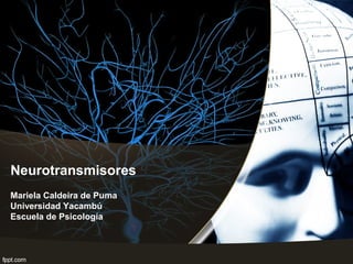 Neurotransmisores
Mariela Caldeira de Puma
Universidad Yacambú
Escuela de Psicología
 