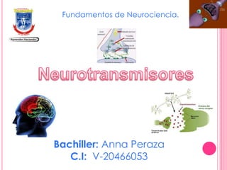 Bachiller: Anna Peraza
C.I: V-20466053
Fundamentos de Neurociencia.
 