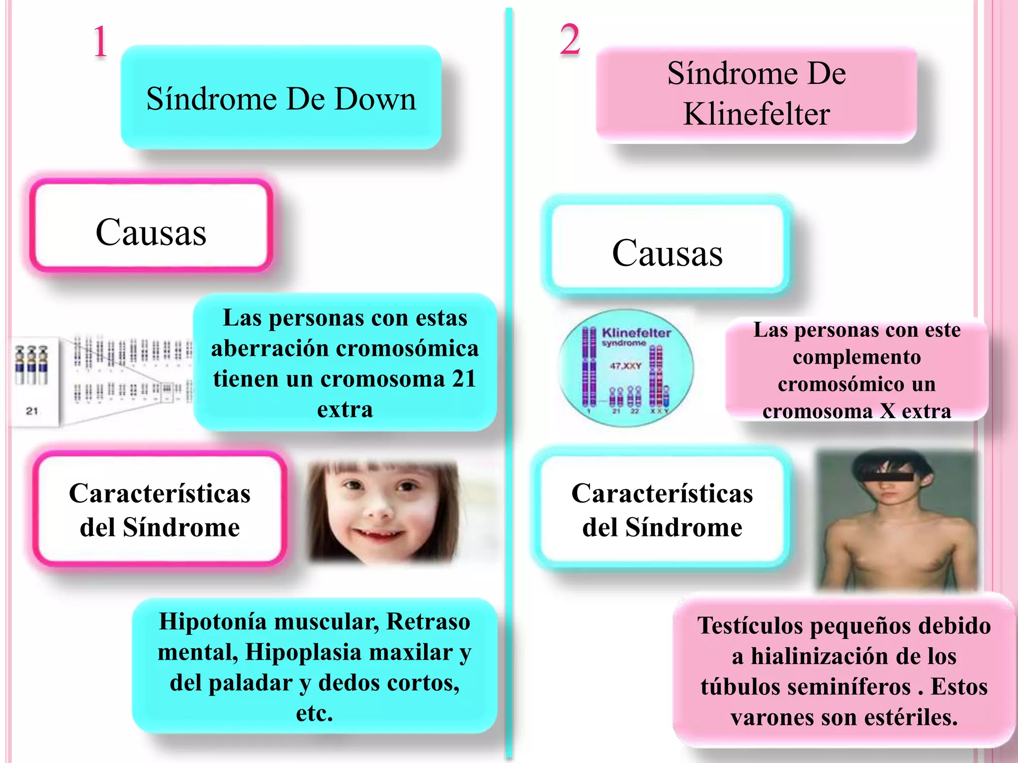 Tipos De Sindromes Geneticos - BINKEDU