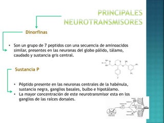 Sustancia P
• Son un grupo de 7 peptidos con una secuencia de aminoacidos
similar, presentes en las neuronas del globo pálido, tálamo,
caudado y sustancia gris central.
Dinorfinas
• Péptido presente en las neuronas centrales de la habénula,
sustancia negra, ganglios basales, bulbo e hipotálamo.
• La mayor concentración de este neurotransmisor esta en los
ganglios de las raíces dorsales.
 