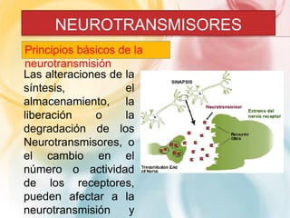 NEUROTRANSMISORES 
Principios básicos de la 
neurotransmisión 
Las alteraciones de la 
síntesis, el 
almacenamiento, la 
liberación o la 
degradación de los 
Neurotransmisores, o 
el cambio en el 
número o actividad 
de los receptores, 
pueden afectar a la 
neurotransmisión y 
 