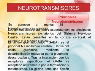 NEUROTRANSMISORES 
Principales 
Neurotransmisores 
Se conocen al menos 18 
LNoesuraomtriannosámciidsoosregslumtaamyoarteosy. aspartato son los principales 
Neurotransmisores excitatorios del Sistema Nervioso 
Central. Están presentes en la corteza cerebral, el 
cEel reábceidlooy gla-aMméindoublauEtírsicpoina(lG. ABA) es el 
principal NT inhibitorio cerebral. Deriva del 
ácido glutámico, mediante la 
decarboxilación realizada por la glutamato-descarboxilasa. 
Tras la interacción con los 
receptores específicos, el GABA es 
recaptado activamente por la terminación y 
metabolizado. La glicina tiene una acción 
 