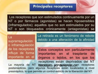 Principales receptores 
Los receptores que son estimulados continuamente por un 
NT o por fármacos (agonistas) se hacen hiposensibles 
(infrarregulados); aquellos que no son estimulados por su 
NT o son bloqueados crónicamente (antagonistas) se 
hacen hipersensibles (suprarregulados). 
La 
suprarregulación 
o infrarregulación 
de los receptores 
influye de forma 
importante en el 
desarrollo de la 
tolerancia y 
dependencia 
física. 
La retirada es un fenómeno de rebote 
debido a una alteración de la afinidad 
o densidad del receptor. 
Estos conceptos son particularmente 
importantes en el trasplante de 
órganos o tejidos, en los que los 
receptores están deprivados del NT 
La mayoría de NT ifnisteioralóctgúiacno pporinr cdipeanlmerevnateciócno.n receptores 
postsinápticos, pero algunos receptores están localizados a nivel 
presináptico, lo que permite un control estricto de la liberación del NT. 
 