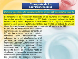 Transporte de los 
neurotransmisores 
Existen dos tipos de transportadores de los NT esenciales para la 
neurotransmisión. 
El transportador de recaptación, localizado en las neuronas presinápticas y en 
las células plasmáticas, bombea los NT desde el espacio extracelular hacia 
elinterior de la célula. Repone el abastecimiento de NT, ayuda a concluir su 
acción y, en el caso del glutamato, mantiene sus niveles por debajo del umbral 
tóxico. La energía necesaria para este bombeo del NT proviene del ATP. 
El otro tipo de transportador localizado en 
la membrana de las vesículas concentra el 
NT en las mismas para su posterior 
exocitosis. Estos transportadores son 
activados por el pH citoplasmático y el 
gradiente de voltaje a través de la 
membrana vesicular. Durante la anoxia y la 
isquemia cambia el gradiente iónico 
transmembrana, y el glutamato se 
transporta desde las vesículas hasta el 
citoplasma, aumentando su concentración 
hasta niveles potencialmente tóxicos. 
Los sistemas de segundo mensajero 
consisten en proteínas G reguladoras y 
 